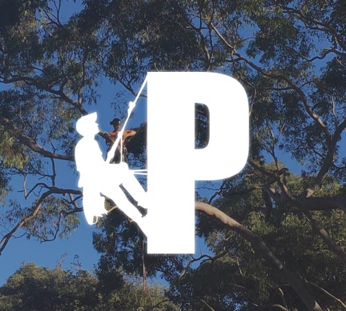 PRTS Logo Image 01